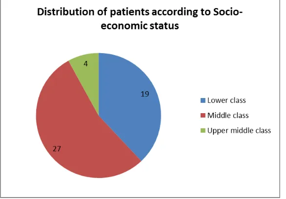 Table 14: Incidence of Socio-economic status. 