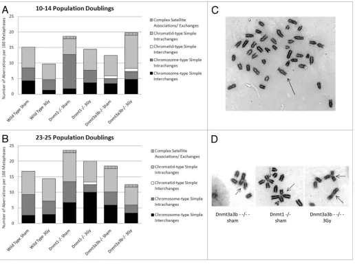 Figure 3. classifications of structural cytogenetic aberrations as defined by savage.(c) Mitotic spreads of Giemsa-stained chromosomes from the long satellite arms