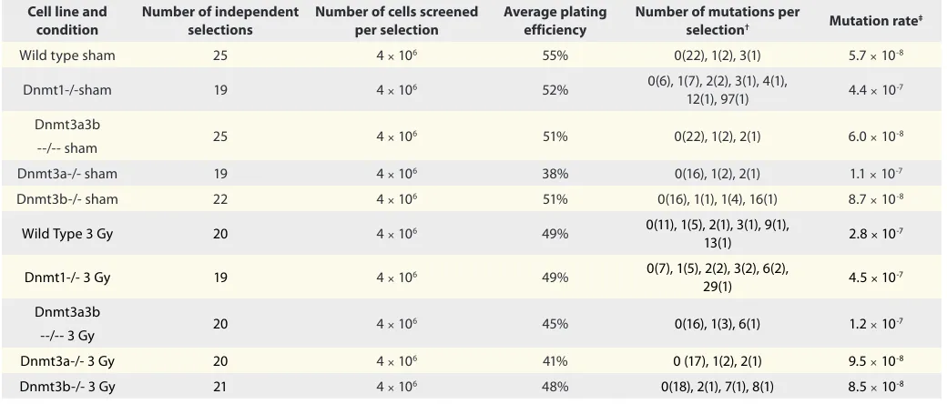 Table 2. Details of the selections carried out to determine the mutation rate at the Hprt gene for each cell line and treatment condition