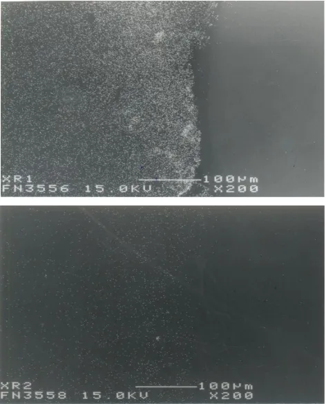 Figure 5.  Decarburisation near crack and entrapment of minute oxide particles in ferrite phase 