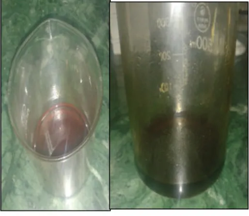Figure 1 Extracted γ – Oryzanol from rice bran oil 