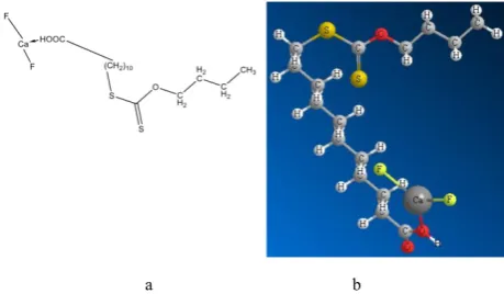 Figure 6.  Complex of the fluorite cluster with the molecule of butylxanthatoundecanoic acid (BXUA) and its optimized geometrical model (b)attaching to the calcium atom (a)  