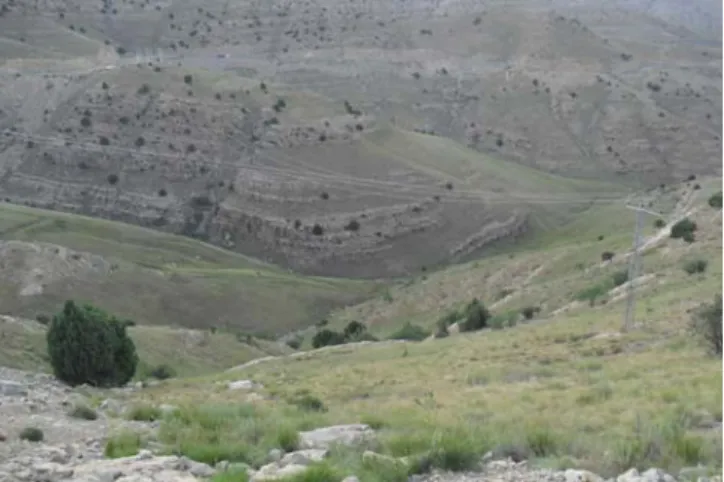 Figure 2: The Typical landscape of the study area  The average annual precipitation in the national park is  between 250 to 300 mm, and rainfall distribution is  remarkably different in various seasons