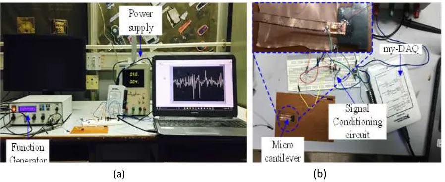Figure 4: (a) Experimental setup (b)Polymide based microcantilever data acquisition circuit 