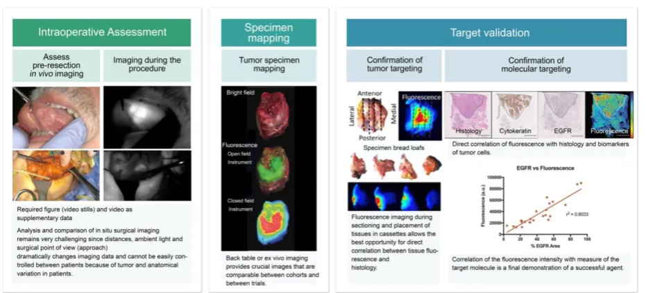 Figure 1. Standardized assessment of reporting results in fluorescence-guided oncologic surgical trials for all aspects of the clinical trial: intraoperative imaging, vivoimaging will ensure exact tumor mapping to correlate imaging results to pathology
