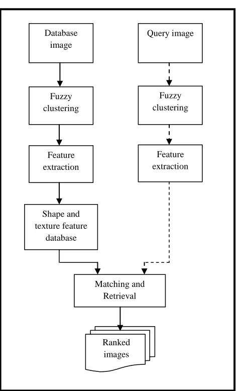 Figure 2: Segmented Image using FCM 