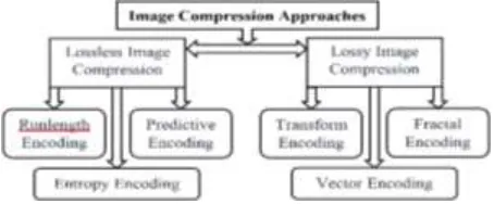 Figure 2. Image Compression approaches 