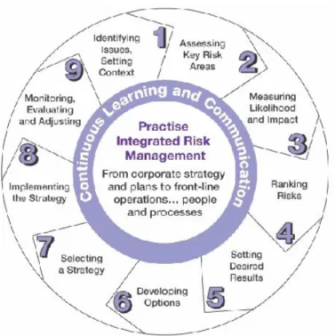 Figure 5.1. The role of the regulator in risk management is dynamic in nature.  24