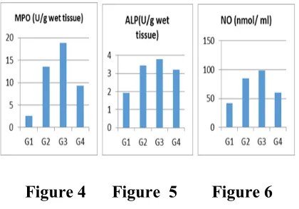 Figure 4      Figure  5        Figure 6 