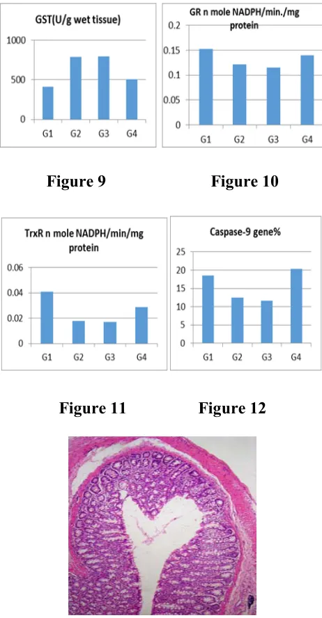 Figure 9                         Figure 10 