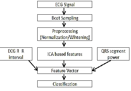 TABLE 1  RECORDS AND NUMBER OF ECG SAMPLES USED 