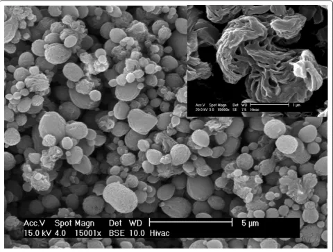 Figure 1 SEM micrograph. Neat PA66 spherulite obtained via crystallisation from solution.