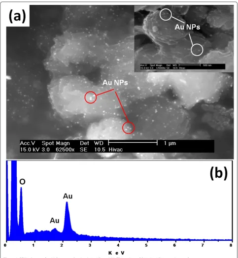 Figure 2 SEM micrographs. (a) PA66 metallised with Au NPs and (b) EDX analysis of PA66/Au NP microsphere surfaces.