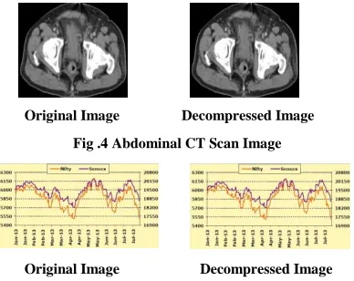 Fig .4 Abdominal CT Scan Image 