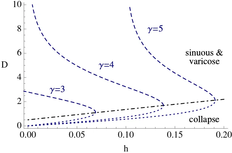 Figure 8: Stripe widths D for diﬀerent values of γ with a Mexican hat interaction given by (20) and β= 0.5.