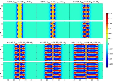 Figure 9: Direct numerical simulation of uhwith for varicose (rows A) and sinuous (rows B) instabilities ± cos(ky) k = 0.44272 of a stripe of width D = 7 for parameters β= 0.5, γ = 4.0 and Heaviside threshold = 0.03