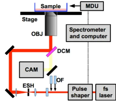 Figure 5 | Experimental setup with CAM representing the electronicallycooled camera, DCM: dichroic mirror, ESH: electronically controlledshutter, MDU: MIIPS microscope detection unit, OBJ: objective lens andOF: optical flats