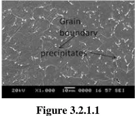 Figure 3.2.1.1 