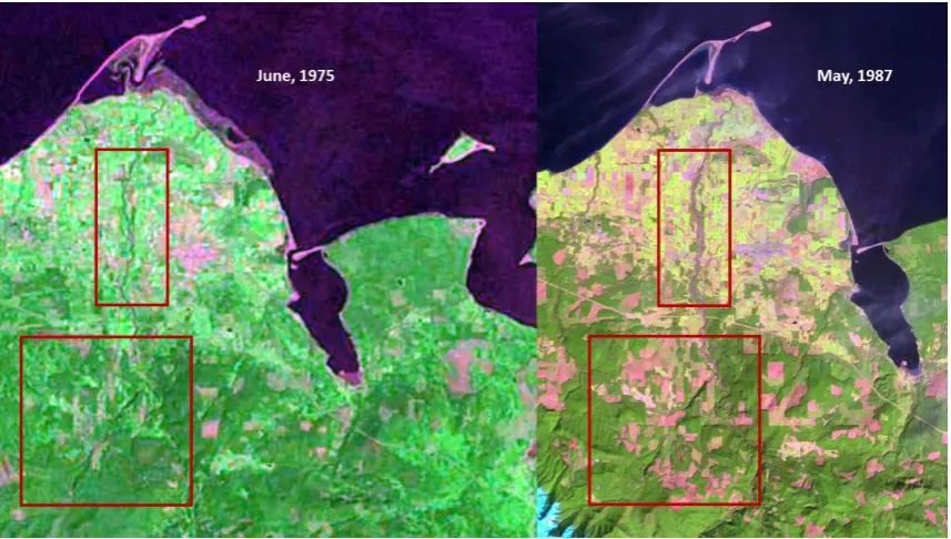 Figure 8B (May 1987), stream channelization, forestry practices, and other anthropogenic activities, led to stream 