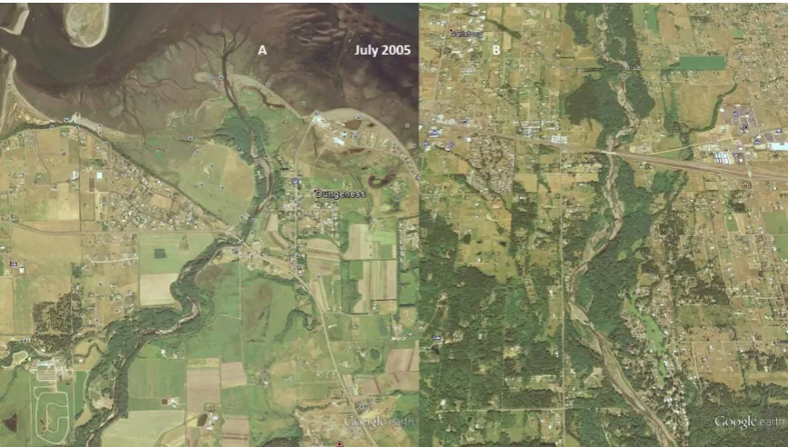 Figure 10.  1994 USDA National Agriculture Imagery Program (NAIP) image of: Left image (A), the Lower Dungeness River, and; Right image (B), the Middle Dungeness River