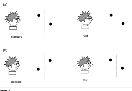 Figure 1(a) ‘Same’ configuration. Cartoon showing a side-on view of the observer viewing the standard and
