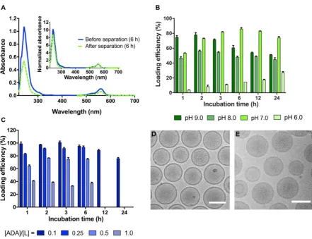 Figure 2. Remote loading of non-radioactive ADA into liposomes via transmembrane ammonium sulfate or citrate pH gradients