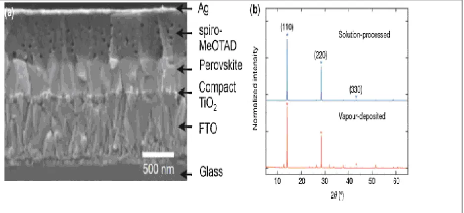 Figure (6):-Showing; (a) Cross-sectional sem image of planar pin junction structure with 
