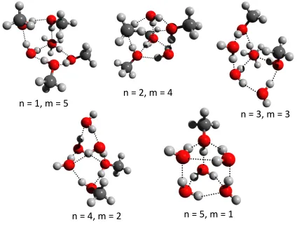 FIG. 6. Predicted lowest-energy structures for the (H2O)n(CH3OH)m clusters (n + m = 6)