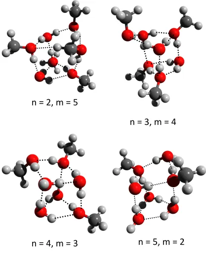 FIG. 7. Predicted lowest-energy strutures for the (H2O)n(CH3OH)m clusters (n + m = 7)