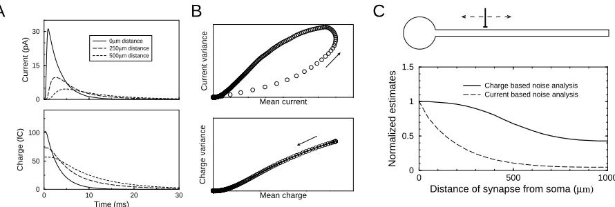 Figure 2: Current and charge �uctuations in a simulated dendrite with a single synapse at a varying location.A) The average synaptic currents (top) and charge,from the voltage clamped soma