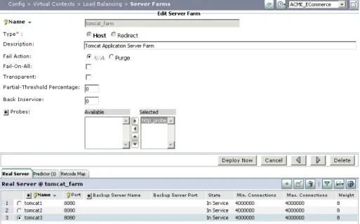 Figure 20.  Edit Server Farm 