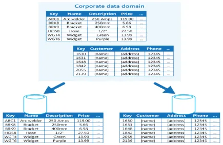 Fig. 4 Functional Partitioning separate data by bounded context or subdomain 