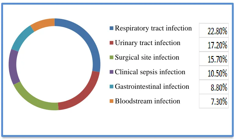Figure 1 Sites of the most common HCAIs. Modified from Health protection agency (2011)