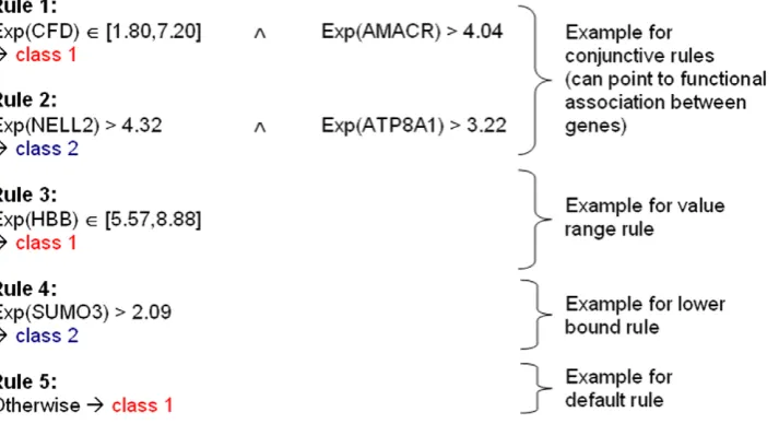 Figure 2. A BioHEL classification rule set obtained for the prostate cancer dataset and illustrating different types of rules