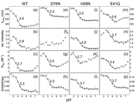 Fig. 3. pH dependence of HdeB tryptophan fluorescence. Four different fluorescence properties over a pH range of 1.5of quenching with acrylamide,are displayed for HdeB WT (first column) and the mutants D76N (second column), H59N (third column), and E41Q(fo
