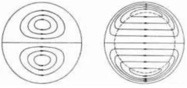 Figure : Secondary flow pattern in helical coiled tube 