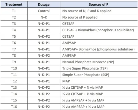 Table 1 – Summary of treatments on corn in pots.