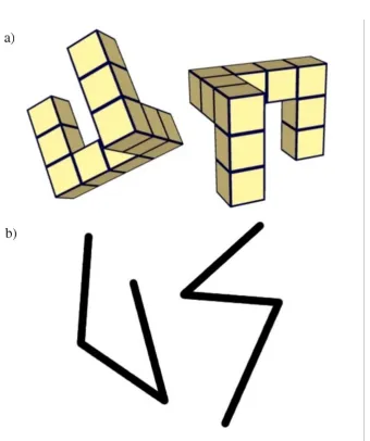 Figure 3.1 (a) An example image of a pair of shapes used in the mental rotation task. In this case the two shapes match in that they are the same shapes seen from two different angles