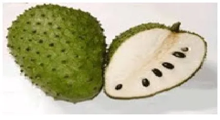 Figure 1 Soursop fruit 