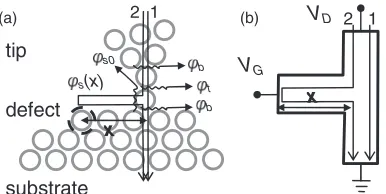 FIG. 5. Model for phase shift and QUIT. (a) Interpretation of the