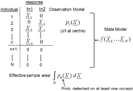Fig. 7 Schematic representation of a mark–recapture point transectsurvey with two observers located at different points but withoverlapping search areas (circles)