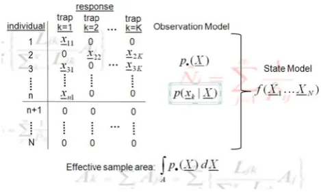 Fig. 14 Schematic representation of single-occasion SECR surveyan animal with centroid atdetector atdata and model