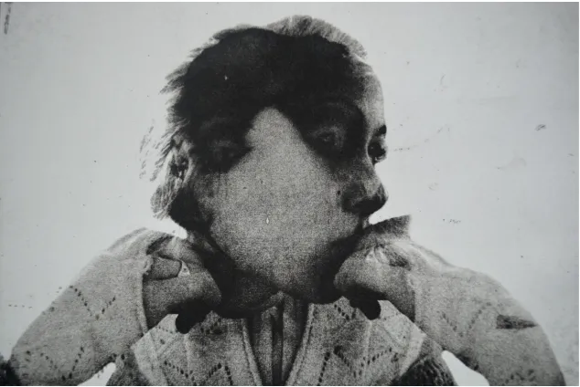 Fig 2. Chimera, halftone intaglio print, 2015 