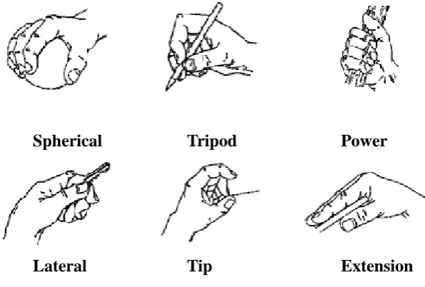 Figure 2.1: The six defined grip patterns for the natural human hand (60)