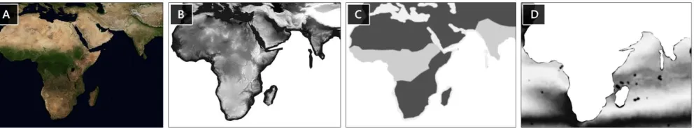 Figure 4. Haptic Image and the corresponding Behavior Mappings: a) visible haptic image, b) image mapping for  static behavior, c) image mapping for softness behavior, and d) image mapping for oscillation behavior