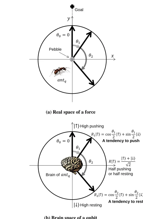 Figure 2: Relation between force direction to push a pebble in real space of a force and behavior of a quantum-inspired ant      in brain space of a qubit