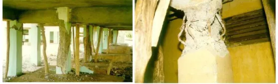 Figure 4.  Damages in columns during earthquake 