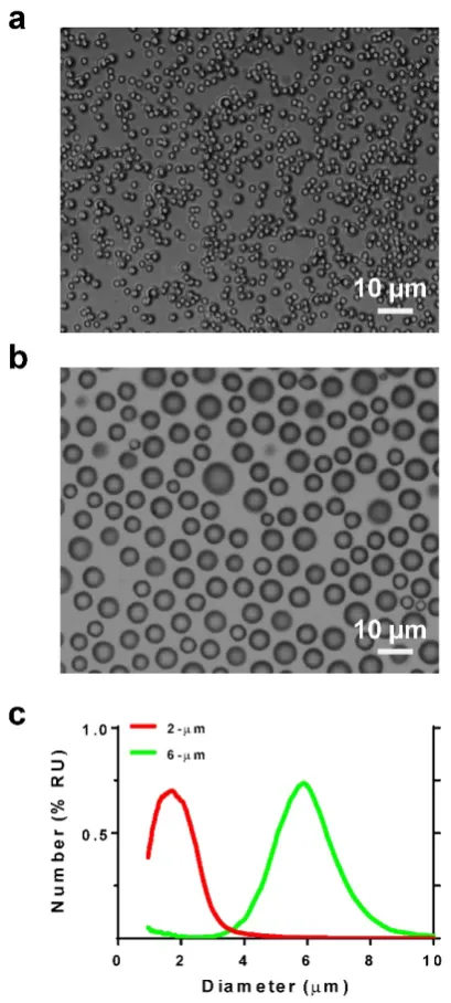 Figure 2. Microbubble size characterization. Photomicrographs of a) 2- and b) 6-µm diameter microbubbles