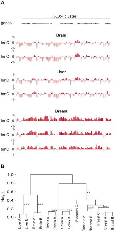 Figure S1. We tested the accuracy of the assay by spiking each ge-