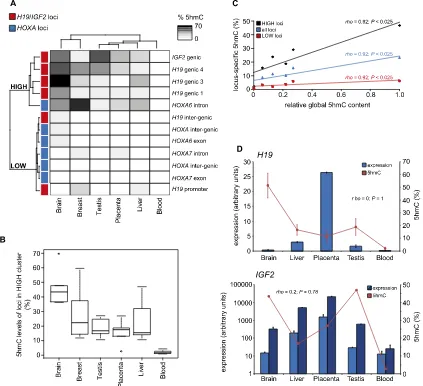 Figure 5.Tissue type is a major modifier of 5hmC levels in genes. (A) Unsupervised hierarchical clustering of 12 loci by absolute 5hmC levels results intwo groups containing high (HIGH) and low (LOW) levels of 5hmC, respectively, for each indicated tissue